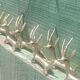 Solid brass knife holder gazelle antelope