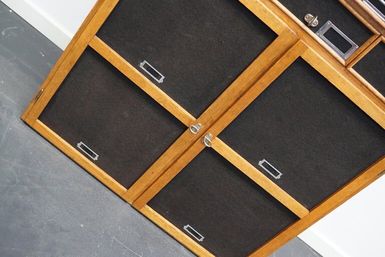 German industrial apothecary cabinet in oak and pine, mid-20th century