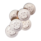 6 assiettes plates fleuries salins