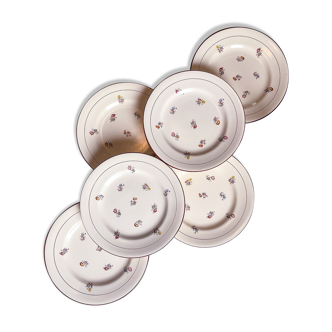6 assiettes plates fleuries salins