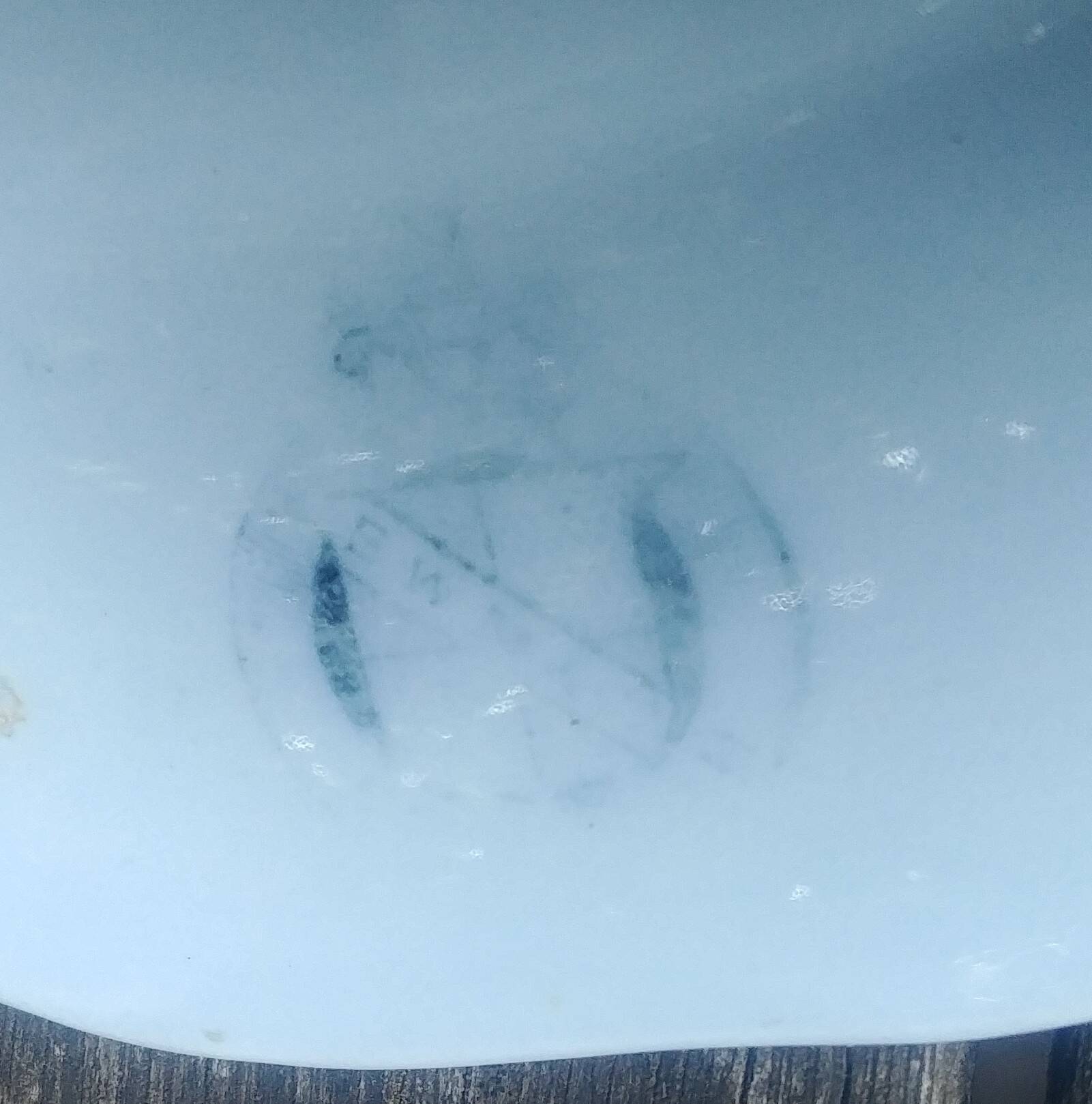 Very old BWM English porcelain plate/serving dish from Brown Westhead Moor