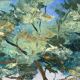 Oil painting on canvas, mount and lake, signed Huet 100x50
