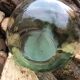 Dame-jeanne en verre soufflé couleur vert  15 litres