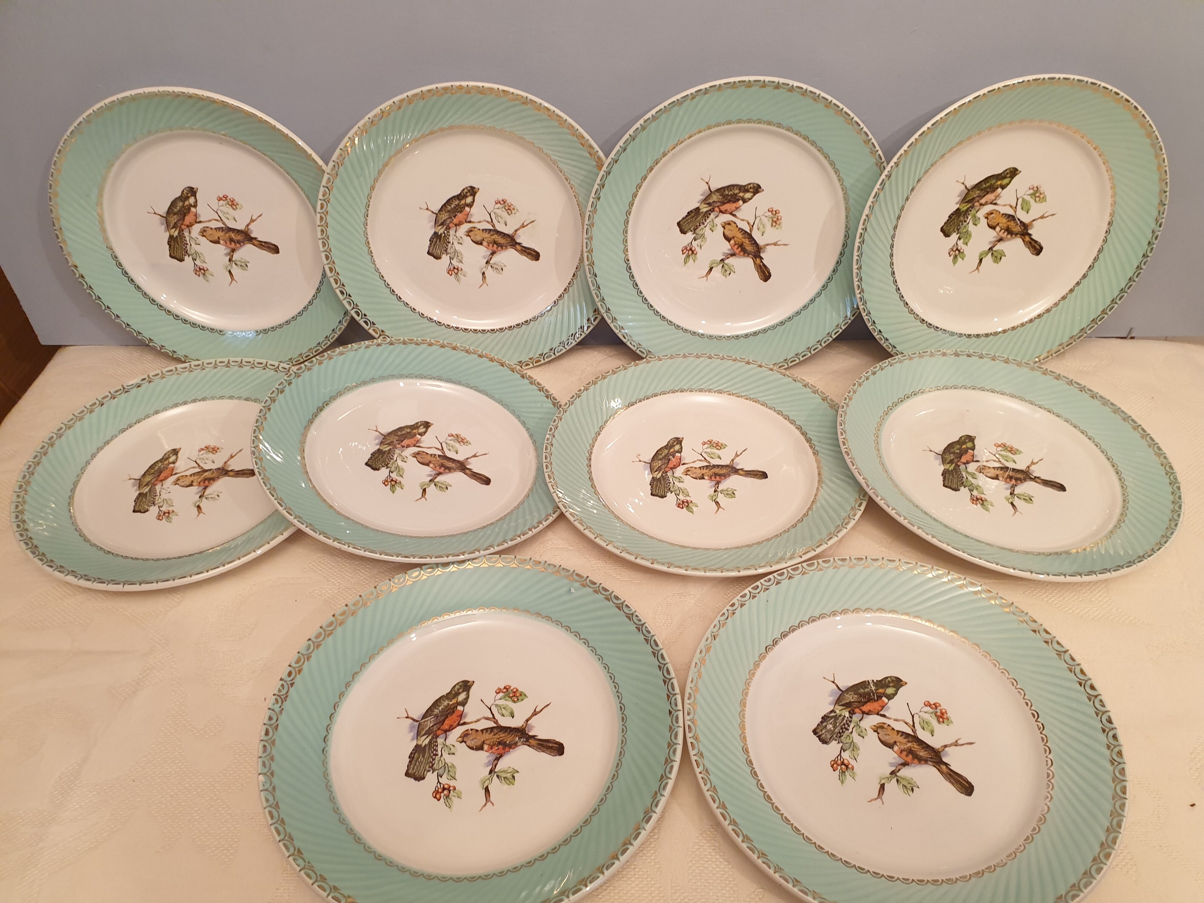 Suite of 9 flat bird plates