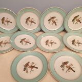 Suite of 9 flat bird plates
