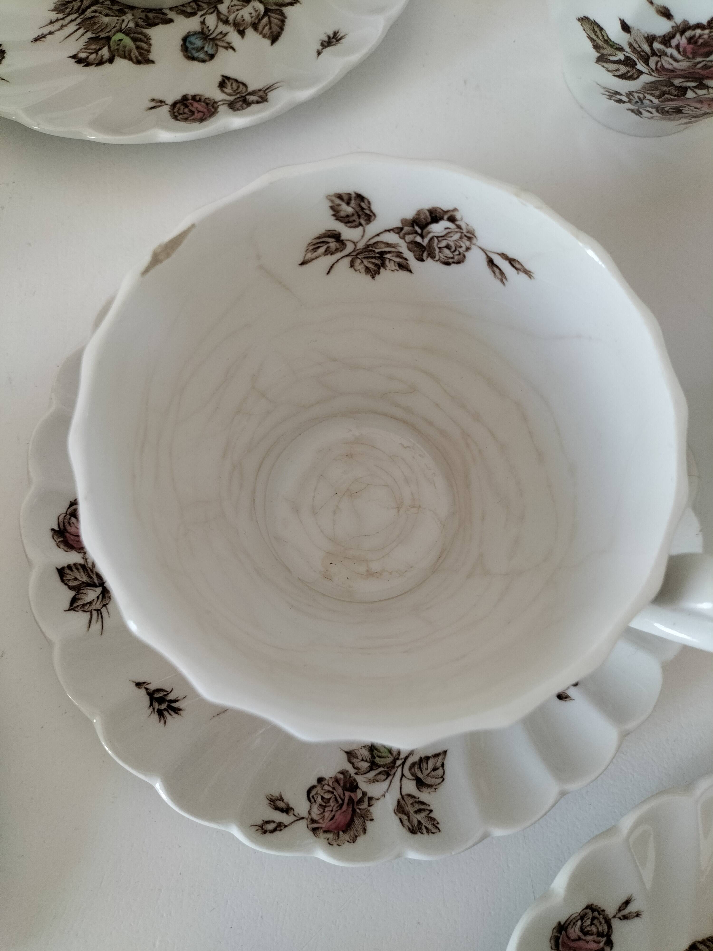 Vintage Johnson Brothers “Devon Sprays” Set