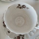 Vintage Johnson Brothers “Devon Sprays” Set