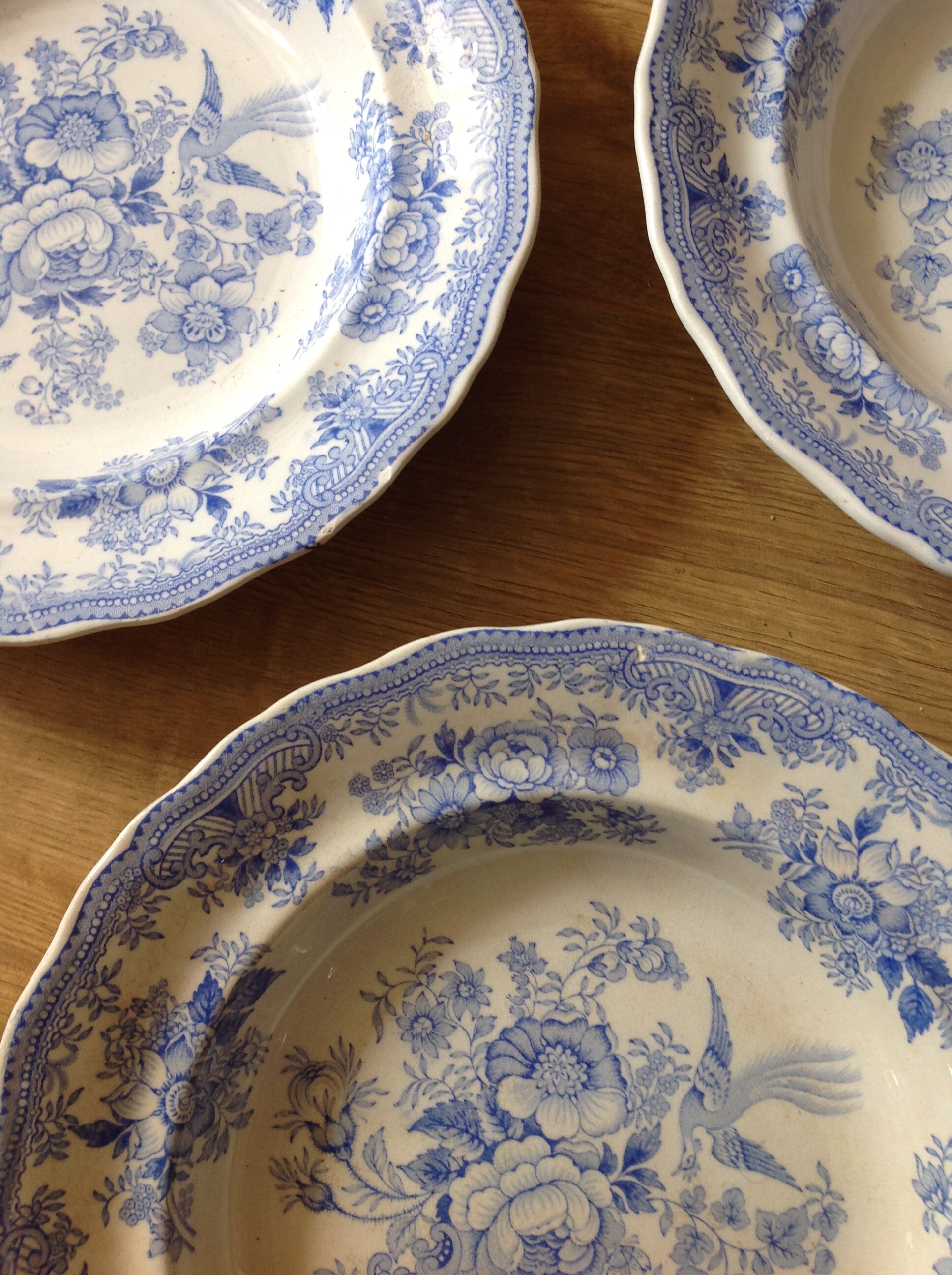 5 plates in faience old blue pattern flower bird