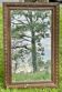 Large antique moulded wooden mirror 61 x 94 cm
