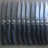 Set of 10 Laguiole Knives