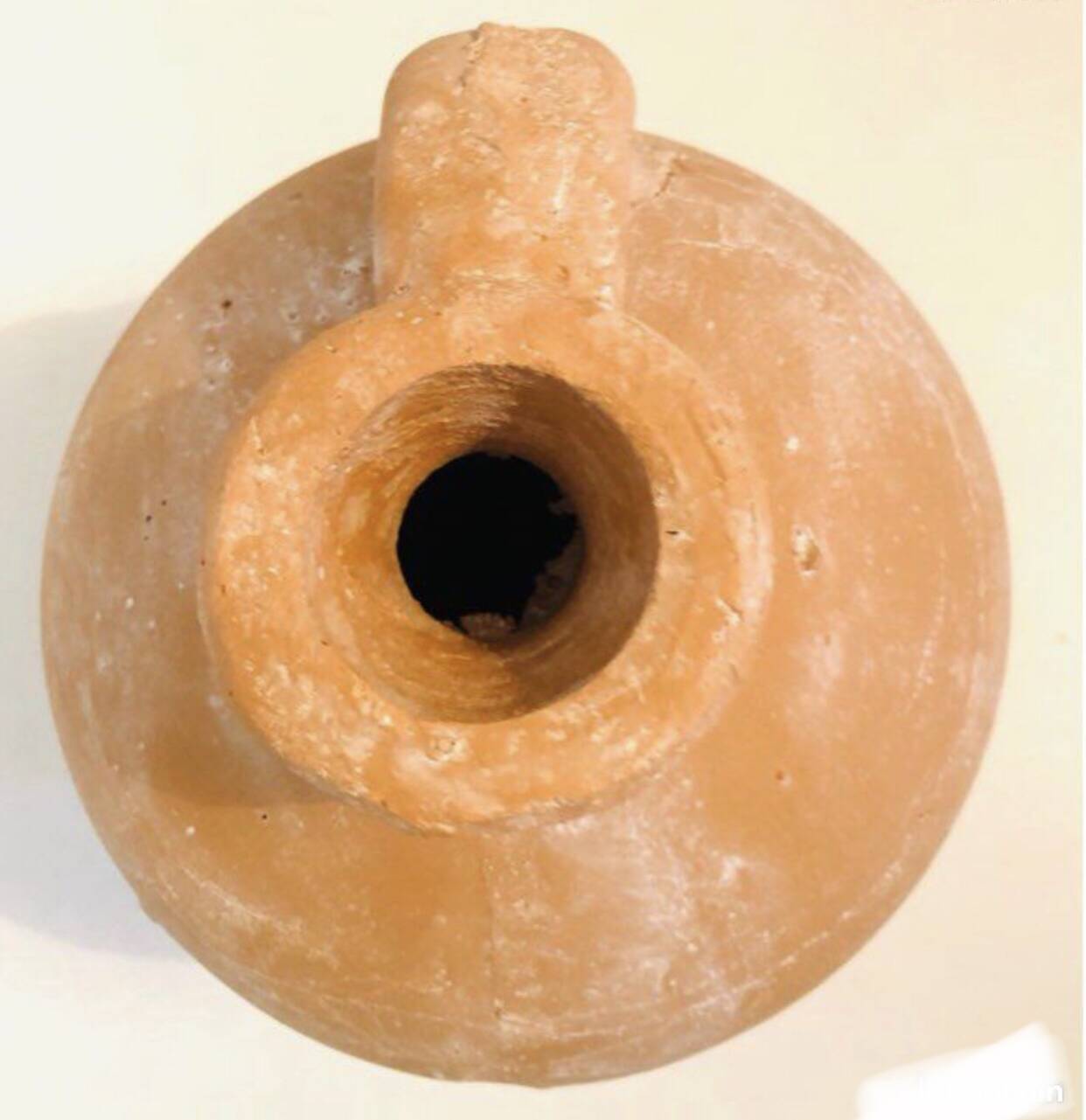 Terra Soliflore Vase