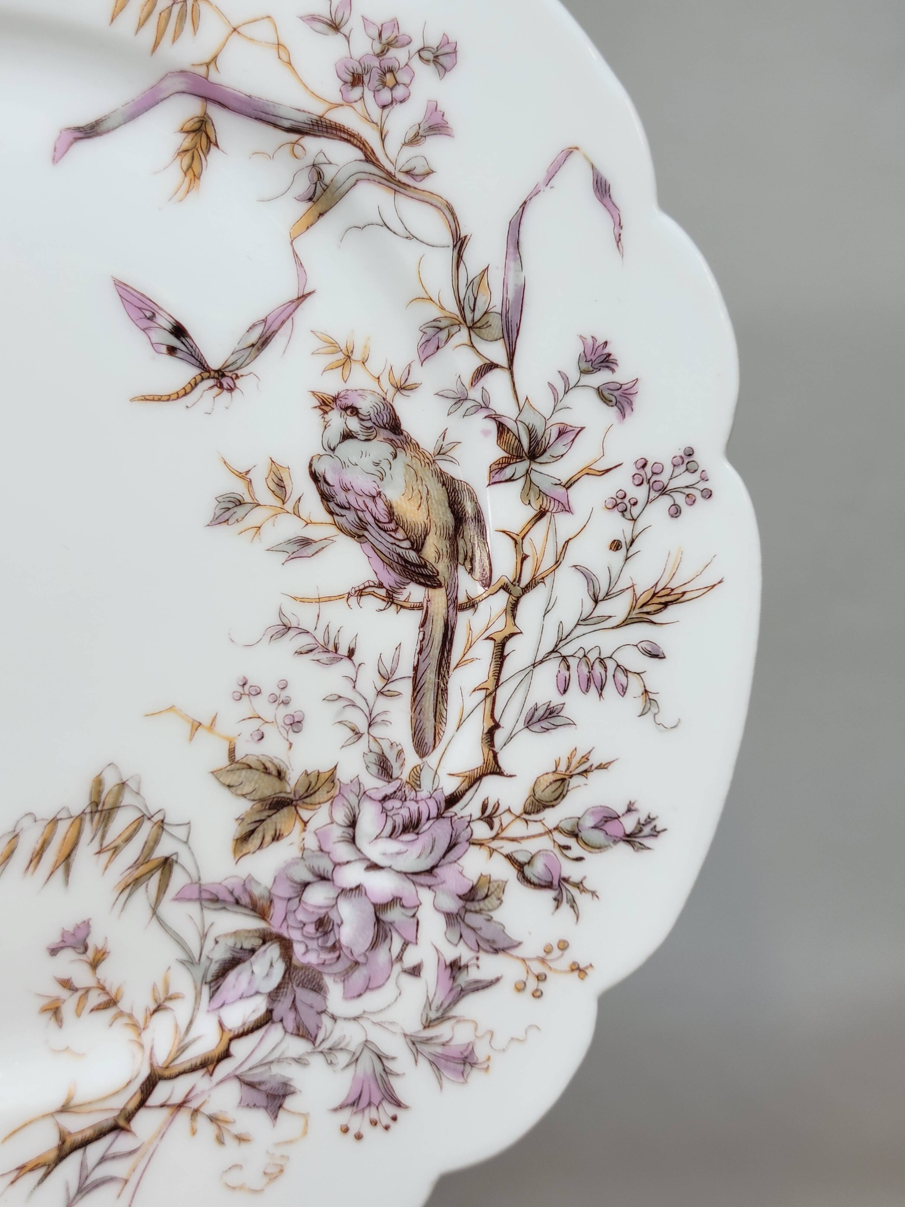 6 Superb Antique 19th Century White Porcelain Plates with Bird Decor