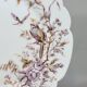 6 Superbes Assiettes Anciennes XIXème En Porcelaine Blanche Décor Oiseaux