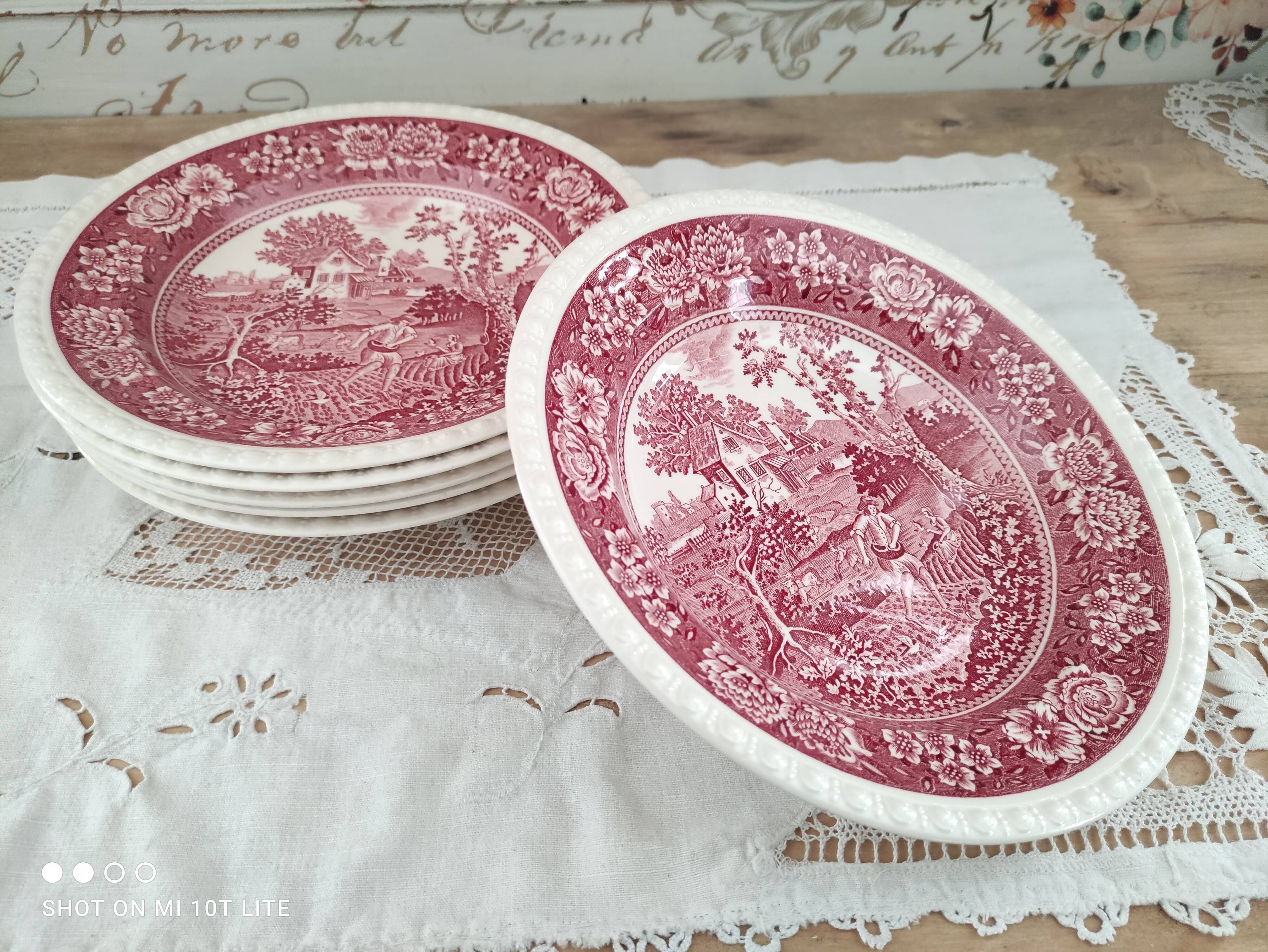 Set of 6 hollow plates in opaque porcelain Villeroy & Boch model Rusticana red English décor