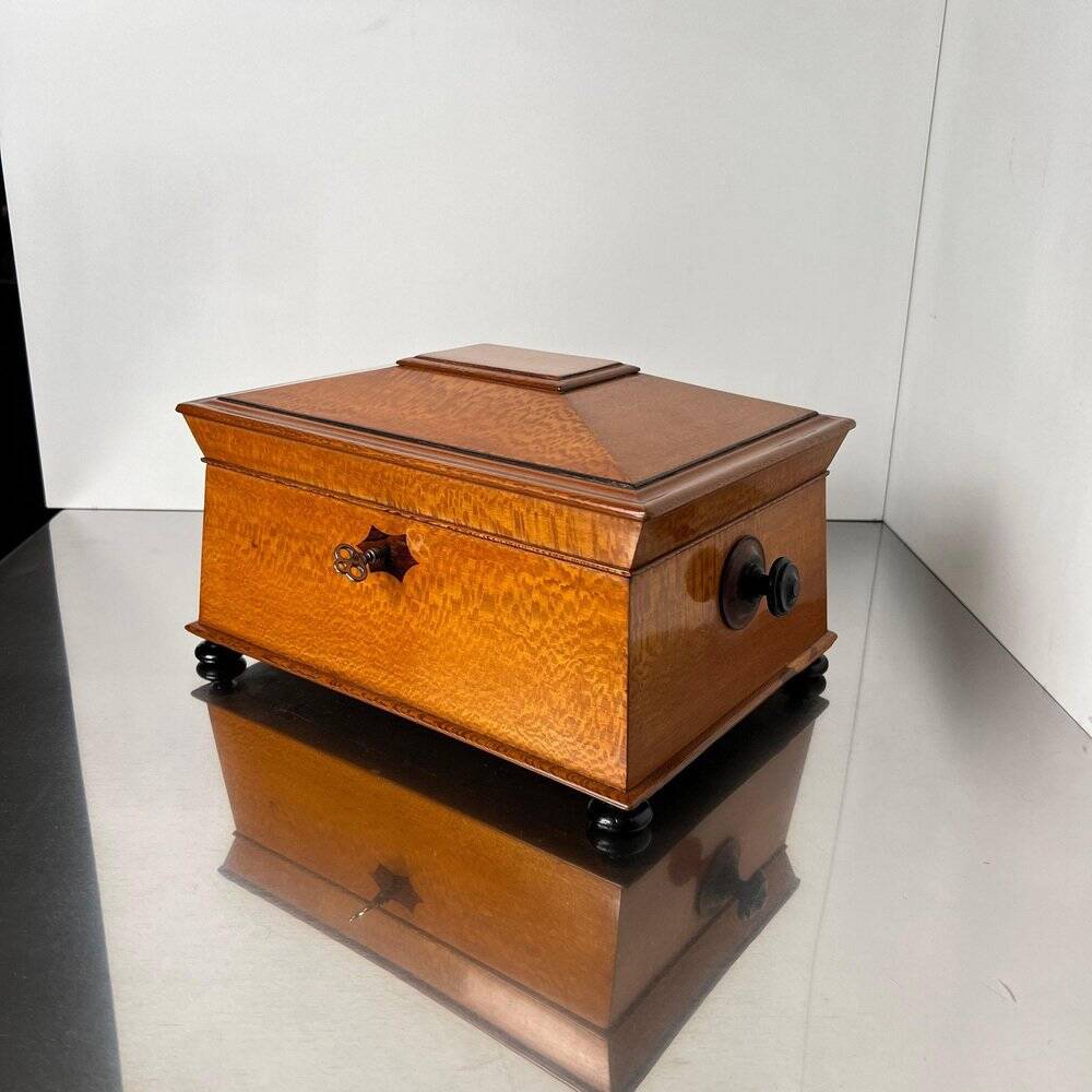 Historicism Box in Floral Ash Veneer and Rosewood, Austria, 1880s