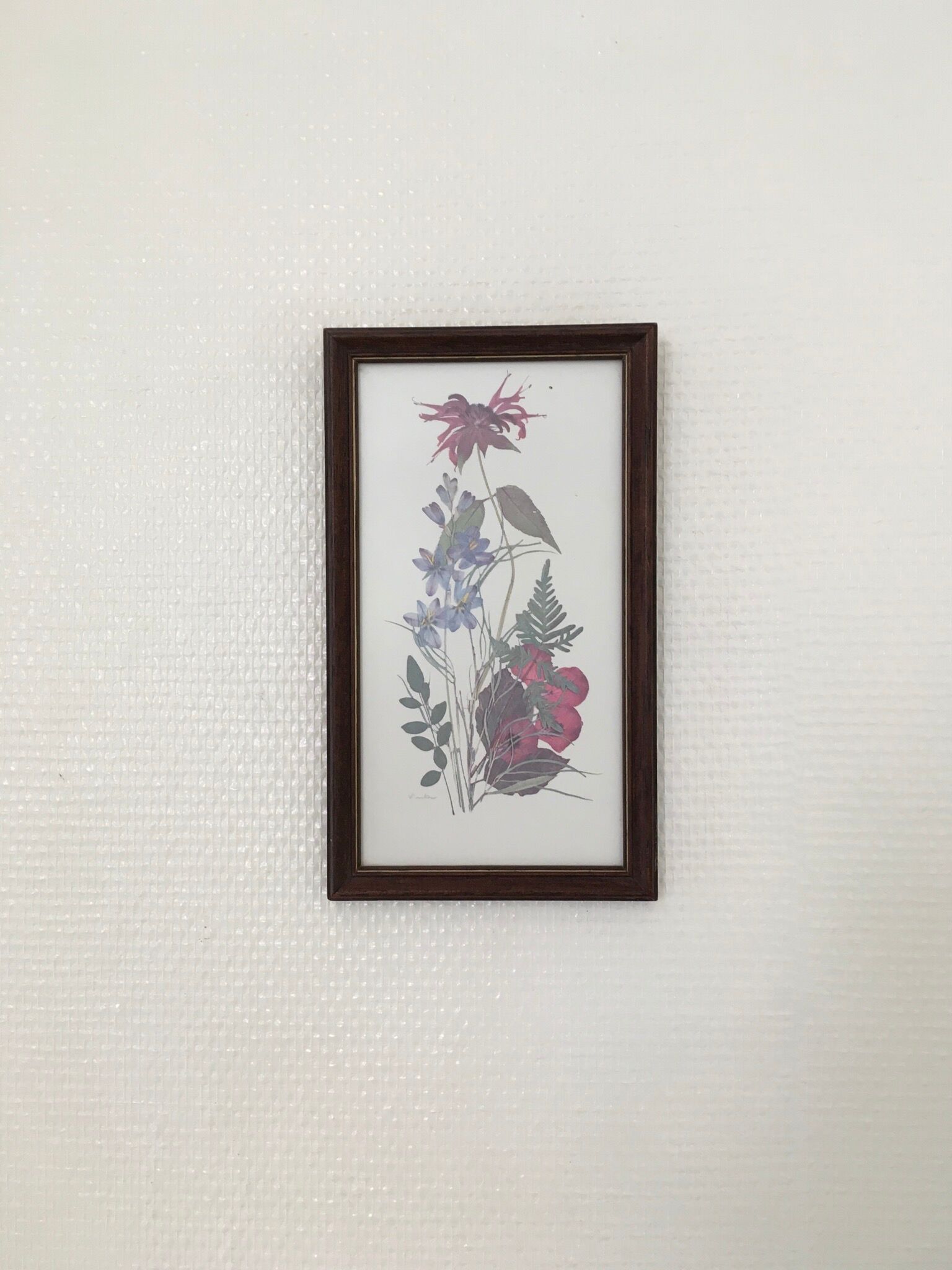 Botanical engraving of vintage flowers in its frame