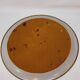 Napoleon III Painted Sheet Metal Tray Painted Metal Floral Decor Diameter 44.5