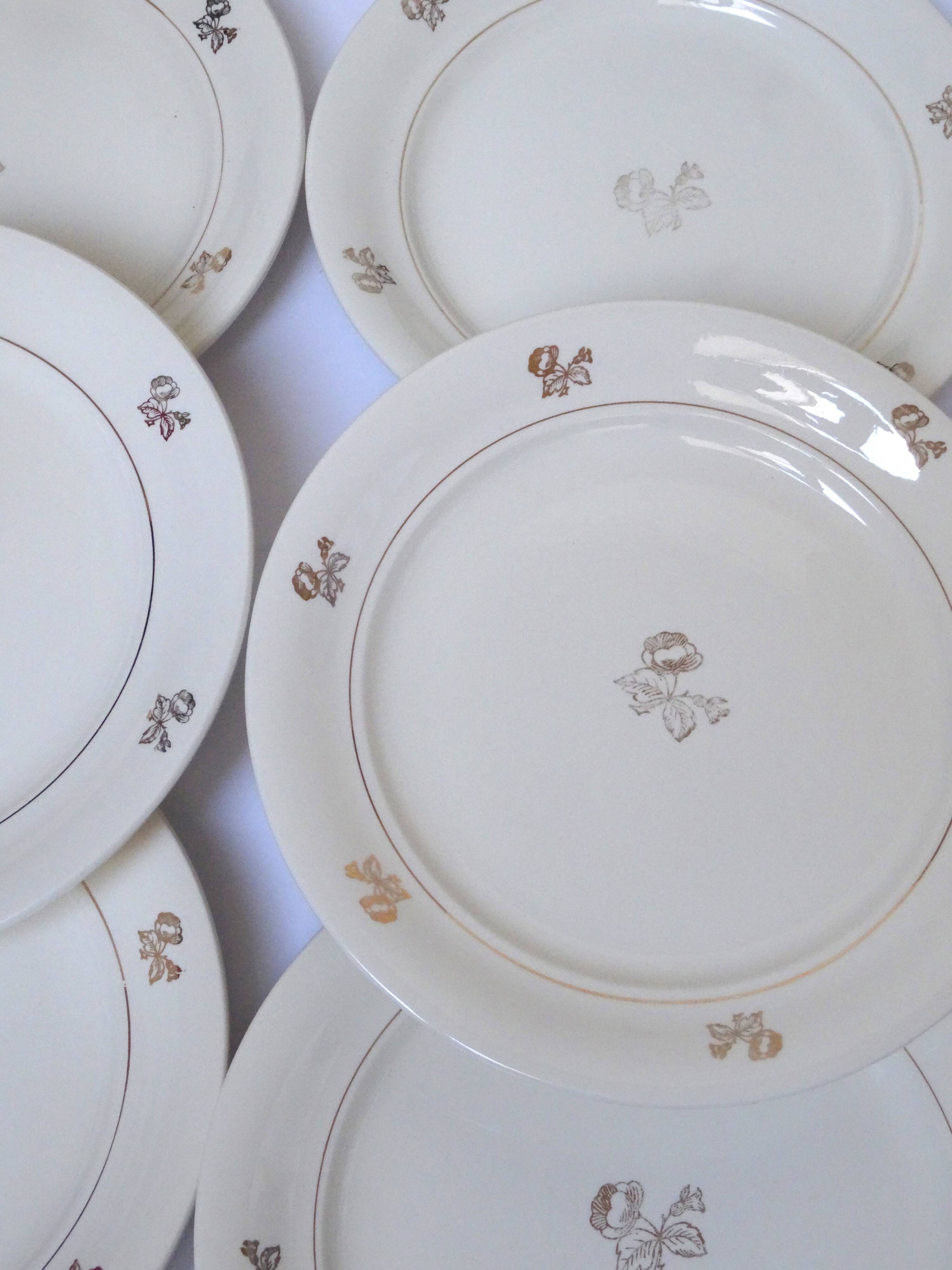 6 flat plates Villeroy & Boch