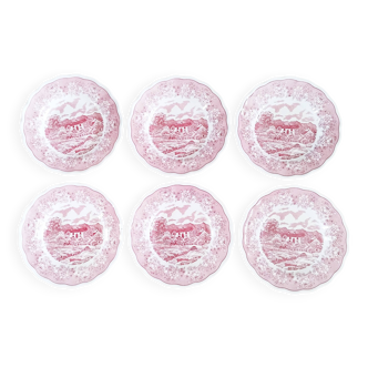 6 Italian English porcelain soup plates: Swiss Landscape