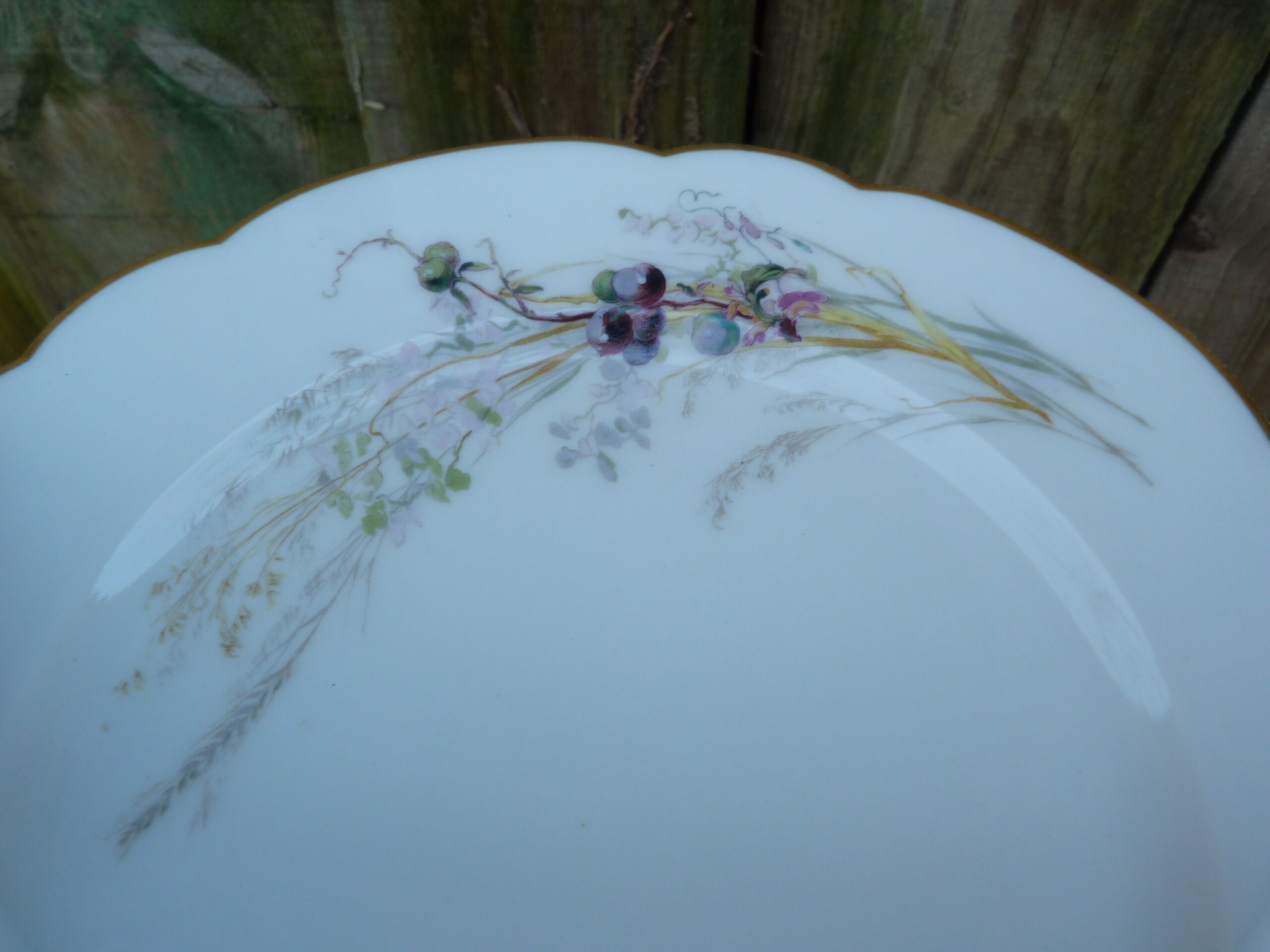 Set of 2 haviland plates for pannier lahoche l'escalier de cristal paris 1860