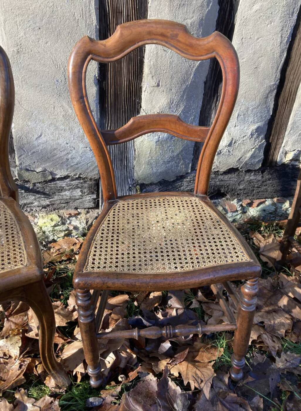 Paire de chaises rustiques cannées