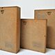 Three wooden frames with naturalized butterflies vintage 60s
