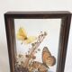 Naturalized butterflies and flowers