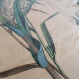 Framed botanical poster "Millet, rice, corn"