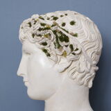 Roman head in waxed plaster