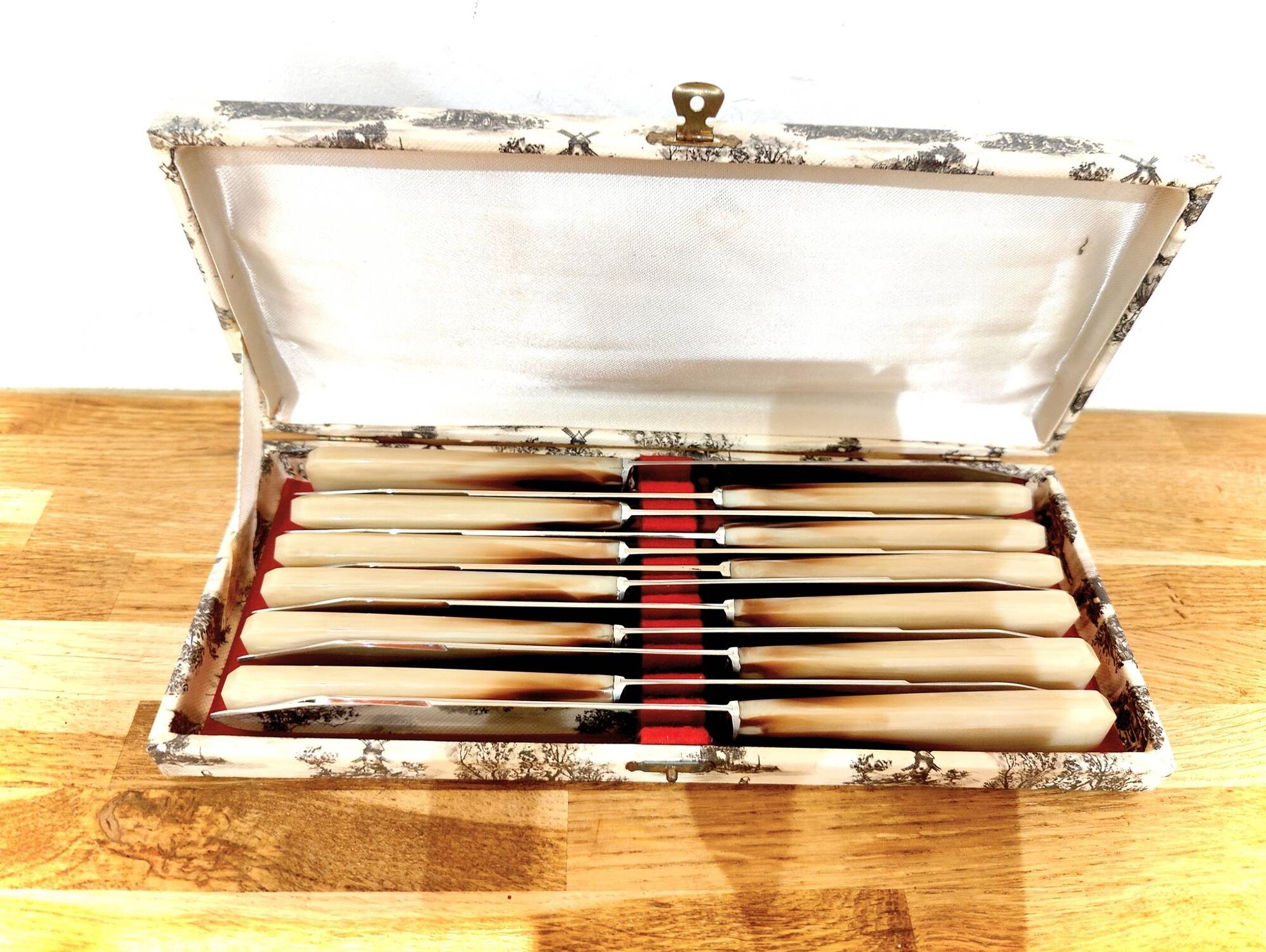Set of 12 radium table knives in horn