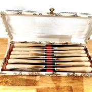 Set of 12 radium table knives in horn