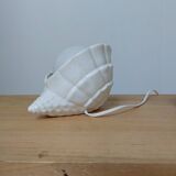 Ceramic shell lamp