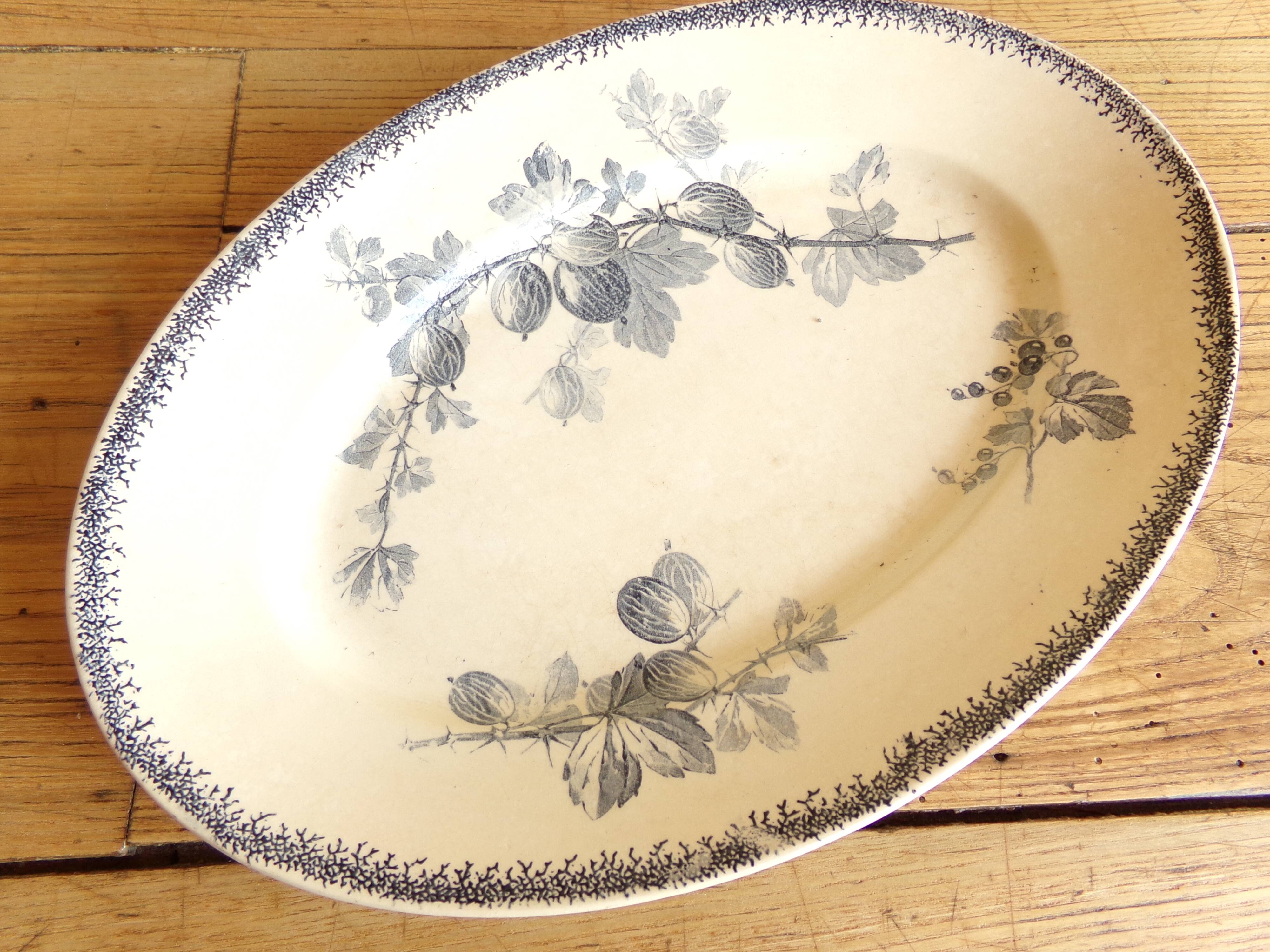 Oval dish U&Cie Sarreguemines model "currants"