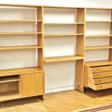 System library "Ry100", Hans. J. Wegner, for Ry Møbler, Denmark, 1960