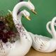 Pair of vintage cache pots - Ceramic swans
