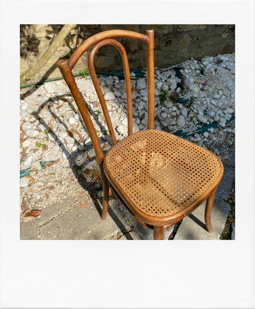 Duo of chairs Thonet bistro