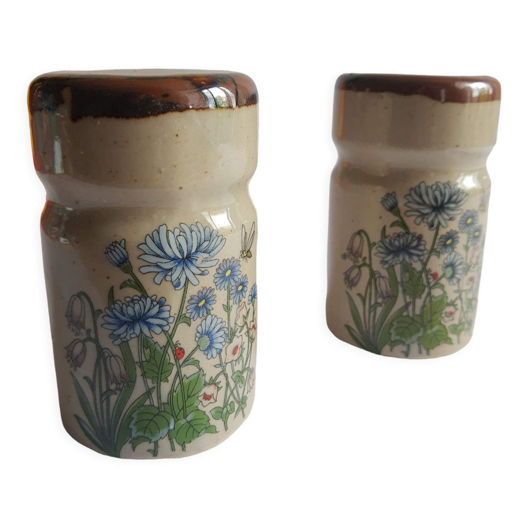 Set salière et poivrier en grès décor floral vintage
