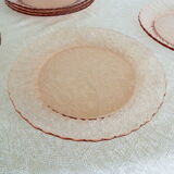 6 rosaline flat plates