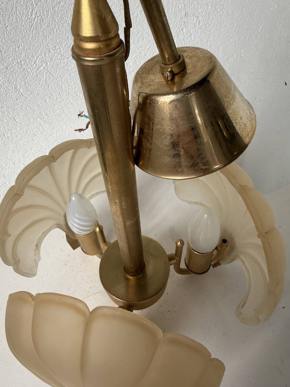 Shell and brass chandelier from the 70s
