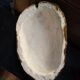 Plaster head