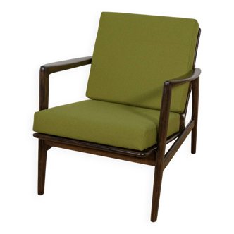 Model 300-139 Armchair from Swarzędz Furniture Factory, 1960s