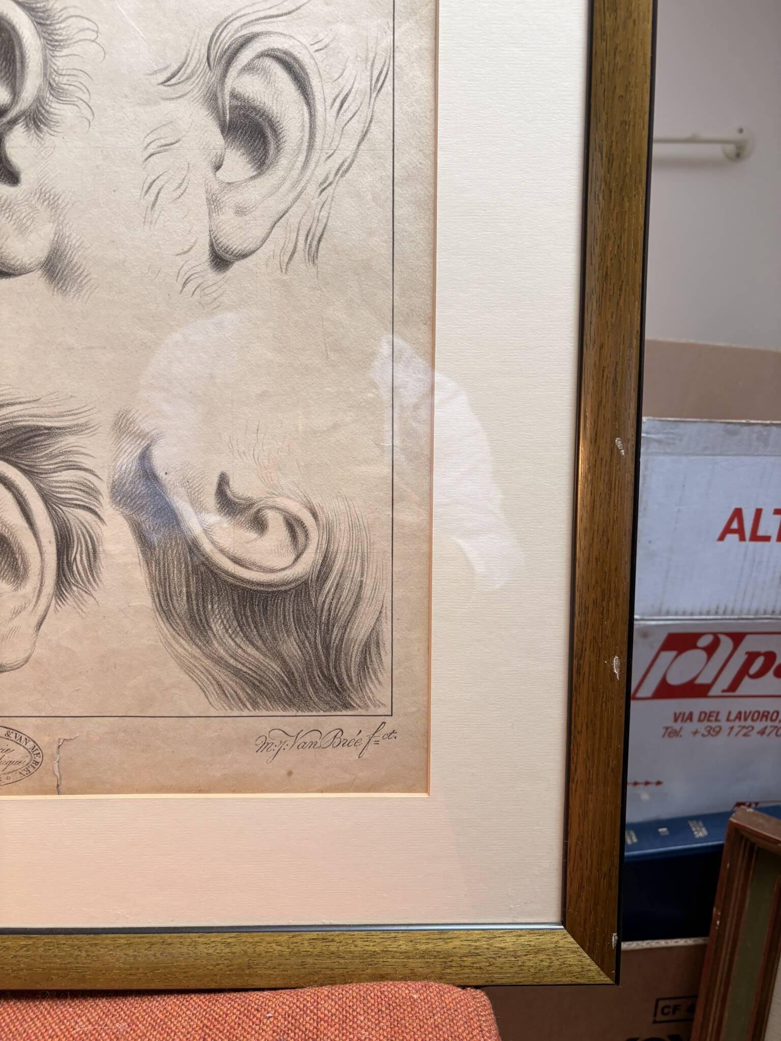 Old Print Engraving 19th Century Framed Academic Study Ear Van Bree