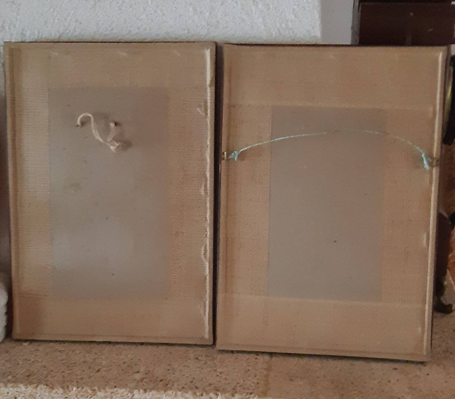 Set of 2 butterfly wing paintings
