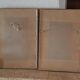 Set of 2 butterfly wing paintings