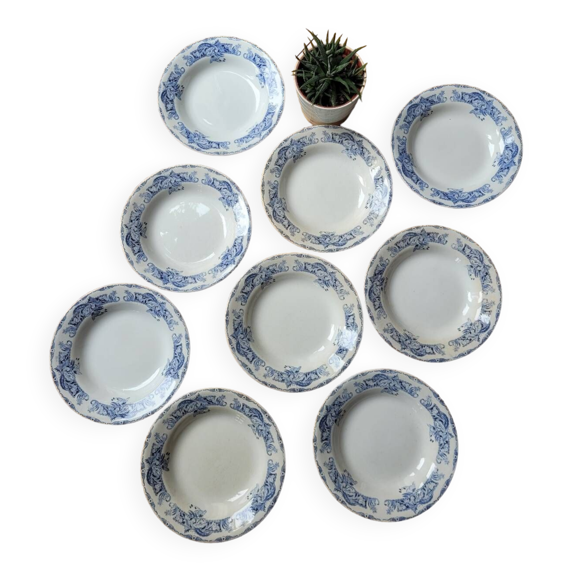 9 Ceylan soup plates from Creil and Montereau Labrador