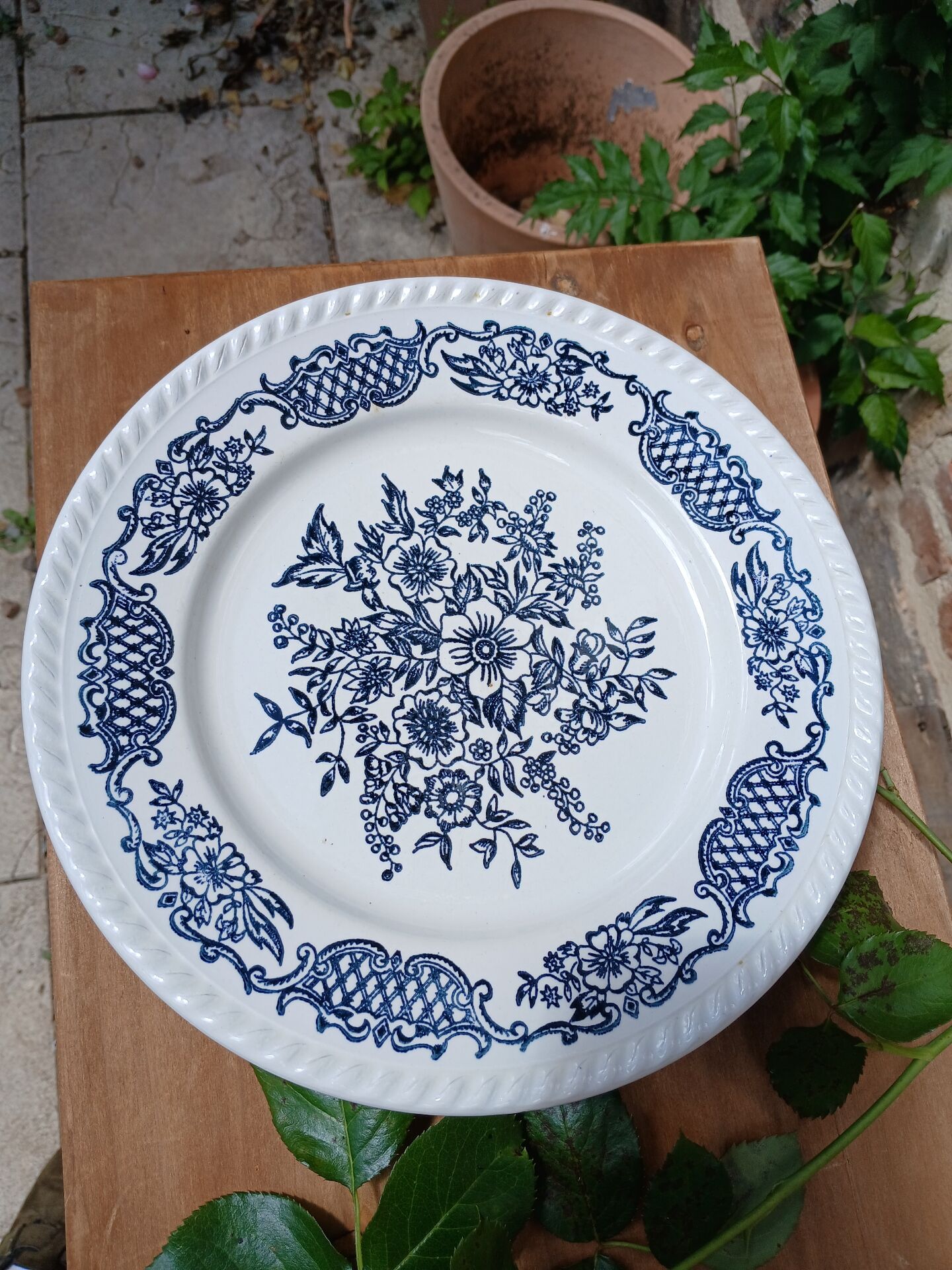 6 antique dinner plates