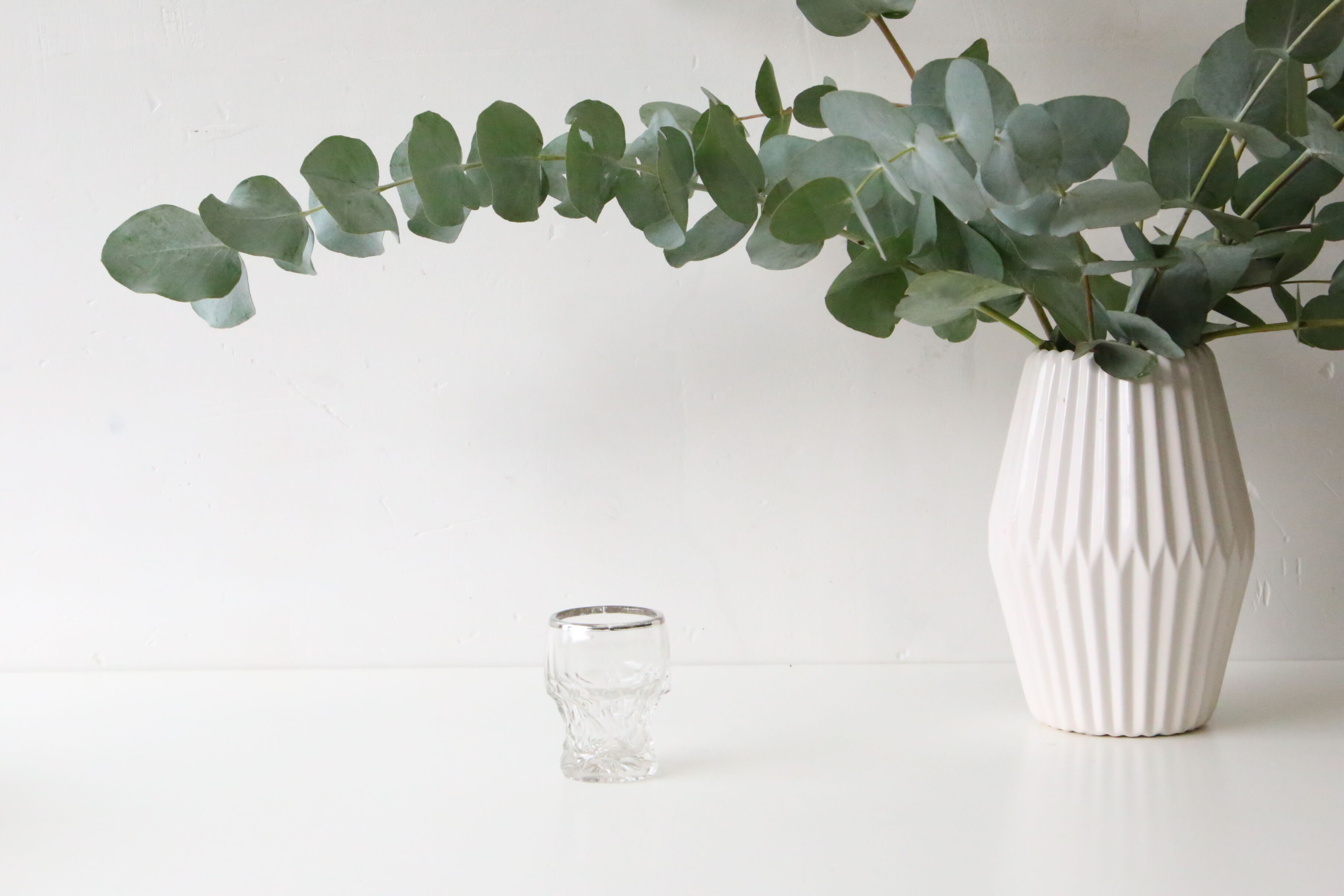 Moulded glass vase