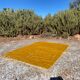 Handmade Mustard Yellow Moroccan Rug - 250/150cm