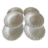 Franco Giorgi plates by Quadrifoglio