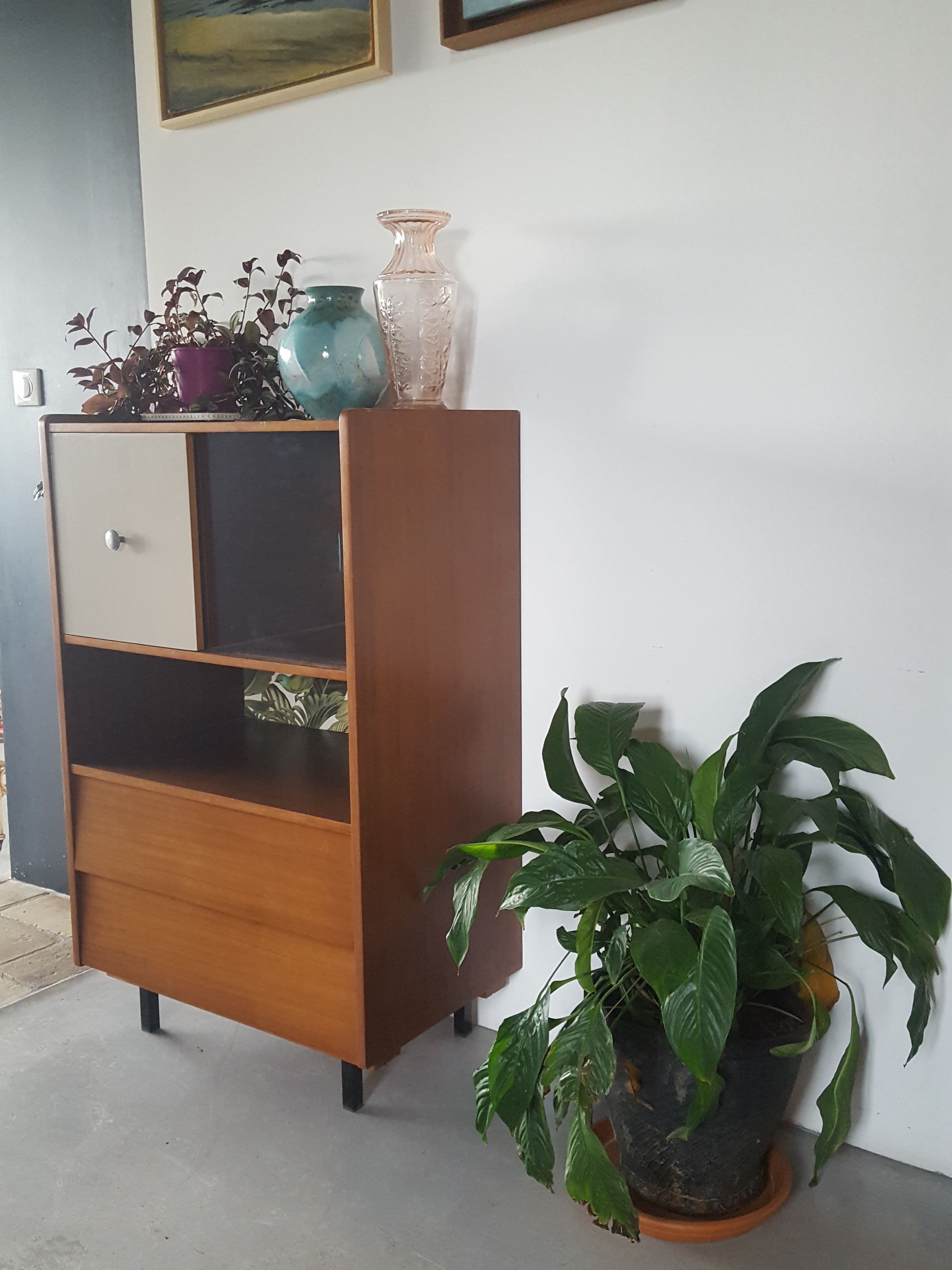 Meuble de rangement années 50 jungle